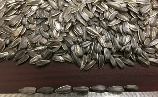 South Dakota Sunflower Seeds- Confections